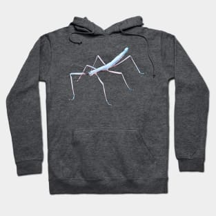 Trans Stick Bug Hoodie